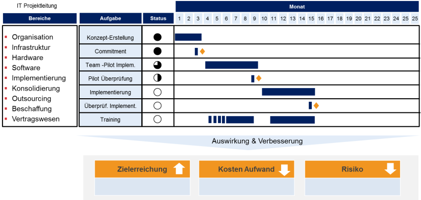 IT Projektleitung